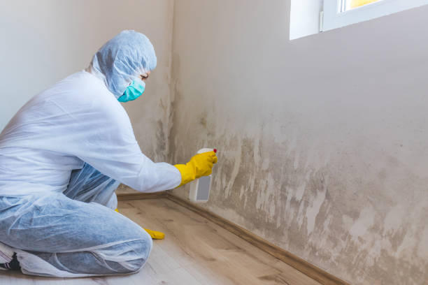 Mold Removal Process in Providence, RI