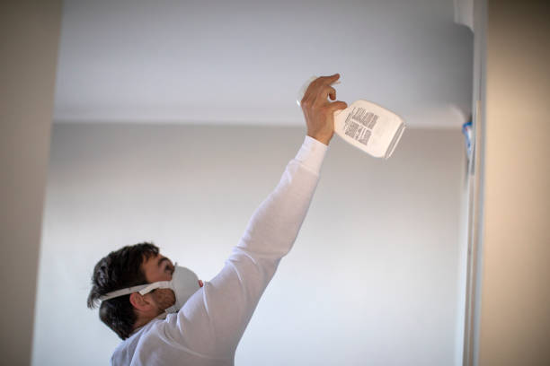 Best Home Mold Removal  in Providence, RI