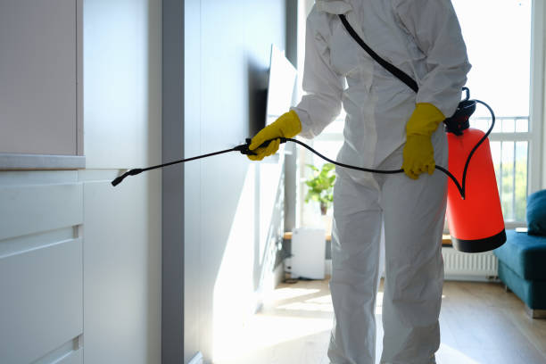 Best Mold Testing  in Providence, RI