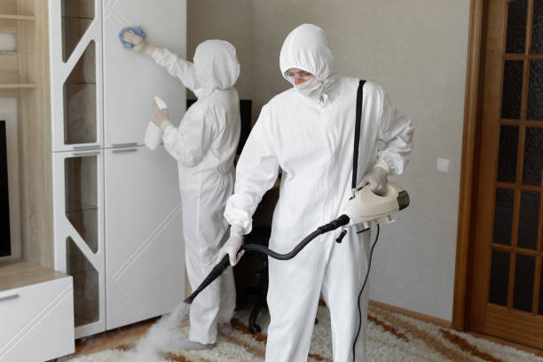 Best Emergency Mold Removal  in Providence, RI